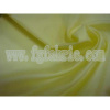 100% polyester fabric|anti-velvet fabric 380T 20 x 20D 36gsm DNC-062