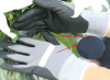 Foam Nitrile Coated Gloves