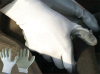 Smooth Nitrile Coated Gloves