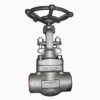 Socket Welded Globe Valve, 1 Inch