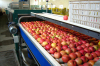 Apple Pear Processing Line