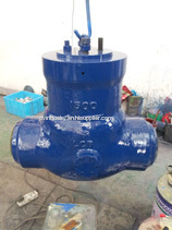 Power plant tilting check valve