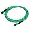 Fiber Optical MTP / MPO Patch Cord