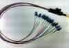 SC SM SX 0.9mm 12 Core Fiber Optic Ribbon Pigtails Patch Cord , PC / UPC / APC