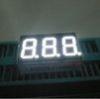 Pure White Three Digit 7 Segment Led Display For Electronic Device 0.36 Inch