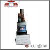 Professional IEC 60840 High Voltage 220kv XLPE Power Cable Fire Resistant