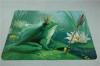 Non-woven carpet YH001P32 froggy prince