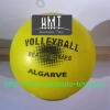 Animate Volleyball sports balls