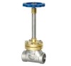 Extension Stem Cryogenic Globe Valve, Forged Steel