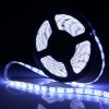 3528 5m 500cm Cool White 300 LED SMD Flexible Light Strip Lamp Waterproof DC 12V