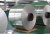 Hot Rolled and Cold Rolled 304L 304 Stainless Steel Sheet / Panel / Plate Metal for Kitchen , All Wi