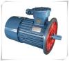 Mine explosion-proof motor from China