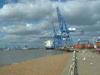 Reliable Ocean Freight Services Economic LCL FCL From Shenzhen To Felixstowe