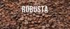 robusta roasted coffee bean