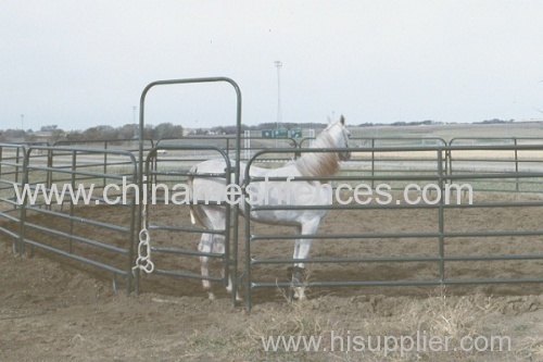 Portable Tubular Horse Yard Panel