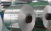 Custom Cold Rolled Stainless Steel Coil SS Coil 410 , 410S , 409L , 430 Grade