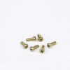 RoHs certification safety special custom tamper proof screw in Chian screw manufacturer