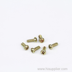 RoHs certification safety special custom tamper proof screw in Chian screw manufacturer