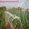 sell best quality BTO-22 razor barbed military wire mesh fence(manufacture)