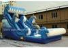 Dolphin Theme Water Park Water Slide Bouncer in 20 inch High Customized