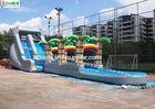 Tropical Long Outdoor Commercial Inflatable Water Slides With Dolphins for Children