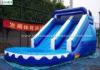 Kids Backyard Inflatable Water Slides With Pool , 14' High Bounce House With Waterslide