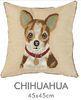 Floor Fluffy Embroidered Decorative Pillows 18 X 18 With Smiling Puppy