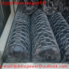 Hexagonal wire mesh/chicken netting