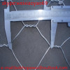 galvanized hexagonal wire mesh/ chicken wire