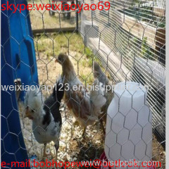 Hexagonal wire mesh roll/ Poultry fencing chicken coop hexagonal wire/ small hole chicken wire mesh roll