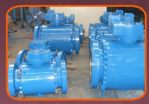 Trunnion mounted ball valve