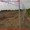 2015 hot sale 12 14 16 gauge galvanized GI barbed wire