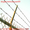 Galvanized barb wire/galvanized barbed wire/barbed wire fence