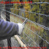 10*15cm Grassland Field Fence /galvanized wire mesh