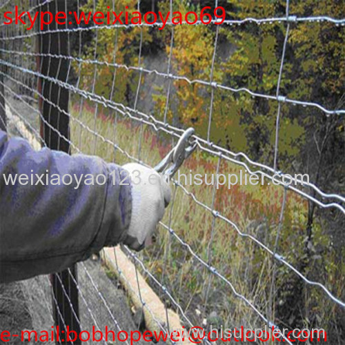 10*15cm Grassland Field Fence /galvanized wire mesh