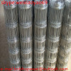 factory supply high quality 25cm opening prairie fence/steel wire grassland mesh/prairie fence/15cm weft opening cattle