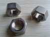 Ti B348 Gr.2 HEX HEAVY DOUBLE CHAMFER NUTS hot forging