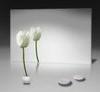 5mm Waterproof Silver Glass Mirror Produced With Mirror Grade Clear Float Glass