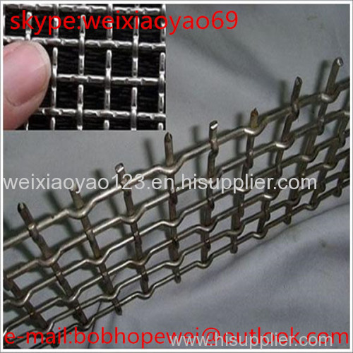 Hot Dipped Galvanized crimped wire mesh (Top Sales)
