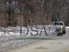 Painting Concertina wire razor barbed wire mesh