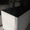 Black film Shuttering Plywood Poplar core ISO9001:2000 Standard