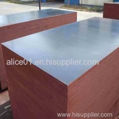 Black film ISO9001:2000 Standard Shuttering Plywood Poplar core