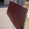 High quality Poplar core black film Shuttering Plywood