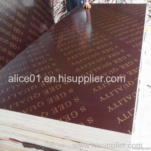 Eucalyptus Film Faced Plywood ISO9001:2000 Standard with WBP