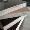 ISO9001:2000 Standard Poplar core Film Faced Plywood with urea-formaldehyde glue