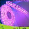 Yellow / Red / Green Waterproof Led Rope Lights 120leds/M Led Strips