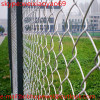 Factory price with PVC or Galvanized chain link fencing