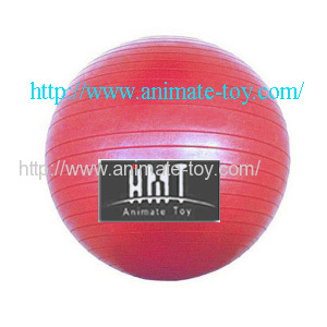 Animate Fitness ball-gym balls