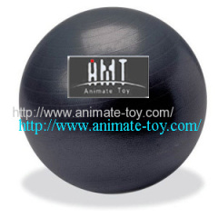 Animate Fitness ball-gym balls