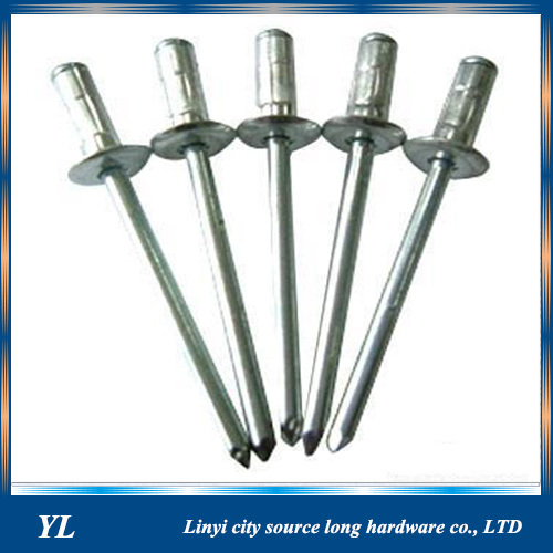 Stainless Steel S BOLT Structure Blind Rivets